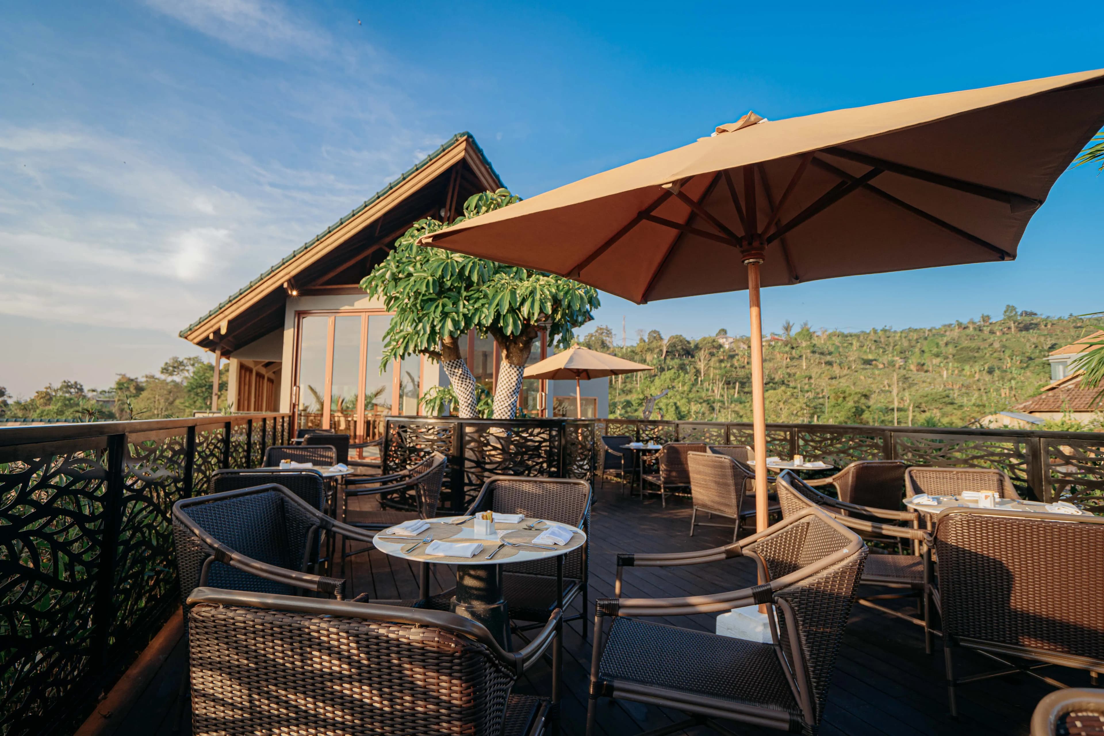 Coffee Plantation Tour